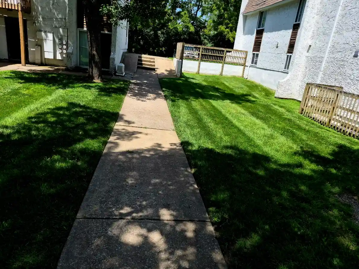 Manicured lawn with crisp mowing stripes