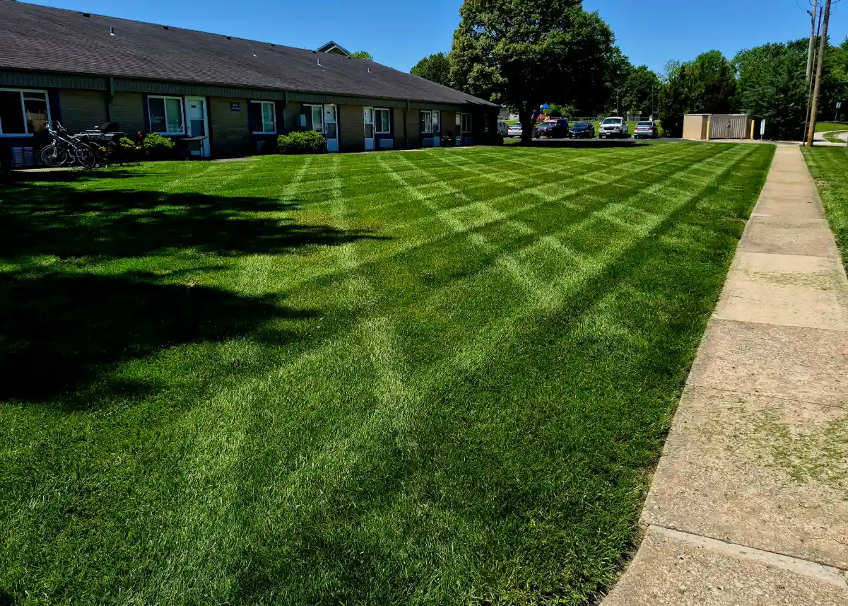 Well-maintained courtyard landscaping and lawn